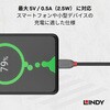 36873 ANTHRA LINE USB2.0 Type-Cケーブル LINDY 76157658