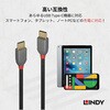 36873 ANTHRA LINE USB2.0 Type-Cケーブル LINDY 76157658