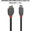 36622 ANTHRA LINE  USB3.2 Gen1 Type-C to Micro-Bケーブル LINDY 76157676