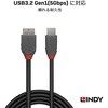 36622 ANTHRA LINE  USB3.2 Gen1 Type-C to Micro-Bケーブル LINDY 76157676