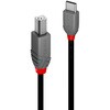 36942 ANTHRA LINE USB2.0 Type-C to Type-Bケーブル LINDY 76157719