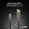 36885 ANTHRA LINE USB2.0 Type-C to Type-Aケーブル LINDY 76157728