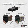 41089 DisplayPort to Mini DisplayPort オス/メス 変換アダプタ LINDY 76157737