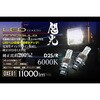 花魁 LEDヘッドバルブ 閃光 24V D2 6000K 直電タイプ 花魁JAPAN