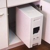 RN-680-2 スライドレール付ライスディスペンサー 0.5合計量 ジャパンサミック 76170197