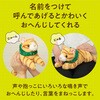 33013 よんで!だっこして!おへんじアニマル2 猫 アーテック[学校教材・教育玩具] 76170538