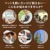33013 よんで!だっこして!おへんじアニマル2 猫 アーテック[学校教材・教育玩具] 76170538