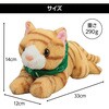 33013 よんで!だっこして!おへんじアニマル2 猫 アーテック[学校教材・教育玩具] 76170538