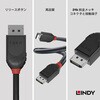 36492 BLACK LINE DisplayPort ケーブル LINDY 76173749