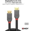 36482 ANTHRA LINE DisplayPort ケーブル LINDY 76173758