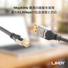 36312 CROMO LINE DisplayPort to Mini DisplayPortケーブル LINDY 76173767