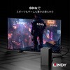 36493 BLACK LINE DisplayPort ケーブル LINDY 76173801
