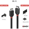 36493 BLACK LINE DisplayPort ケーブル LINDY 76173801