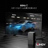 36481 ANTHRA LINE DisplayPort ケーブル LINDY 76173810