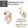 4548404201655 キクロンファイン 天然ボディブラシ キクロン 76180101