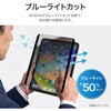 SSK-ITM25FLMNM iPad 11インチ (A16)/iPad 10.9インチ (第10世代) マグネット式フィルター 覗き見防止180°マグネット着脱+シリコン糊で簡単に取り外し可能 Smart Stock 76225707