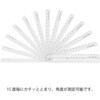 42301006 マルチ定規<30cm> デザインフィル(ミドリ) 76230738