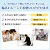 4901301433633 ビオレu泡ハンドソープ 業務用 花王 76234728