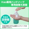 4901301509239 【空容器】Kao 薬用ハンドソープ用 つめかえ容器 花王 76235069