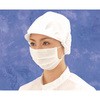 ストレッチマスク EFH-P 50枚入(個装) TGK(東京硝子器械)