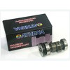 P400250201001 Camshafts ATHENA(�A�e�i) 76380825