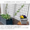 IFGC014-2P-SLV アイアングリーンカーテン 立てかけ式 GRAPH(グラフ) 住まいスタイル 76405666