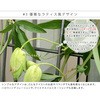 IFGC014-2P-SLV アイアングリーンカーテン 立てかけ式 GRAPH(グラフ) 住まいスタイル 76405666