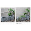 UBST-600 }OlVEv^[ URBAN STONE(A[oXg[) Z܂X^C 76408265