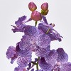 FM000336-017 tAo_I[Lbh MAGIQ() 76484118