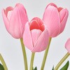 FM008051-002 ~`[bvoh  76485274