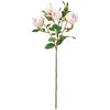 FM008315-002 [Yeg MAGIQ() 76485308