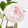 FM008315-002 [Yeg MAGIQ() 76485308