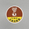ヘルメットステッカー(1t以上玉掛技能者) エスコ