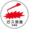 76603696