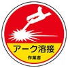 76603705