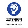耳栓着用