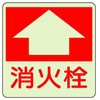 76604536