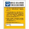 76624705