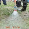 76675306