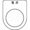 76907557