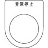76907855