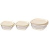 KST-2012-OW 耐熱ガラス製保存容器 3個セット 250ml×2個/600ml×1個 HARIO 77444581