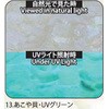 13.UVグリーン アワビシート 【あこや貝】 ノーブランド 77458048