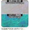 13.UVグリーン アワビシート 【日本アワビA】 ノーブランド 77458127