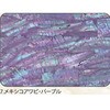 7.パープル アワビシート 【メキシコアワビ】 ノーブランド 77458145