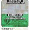 10.グロー アワビシート 【黄蝶貝】 ノーブランド 77458249