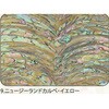 9.イエロー アワビシート 【ニュージーランドカルぺ】 ノーブランド 77458285