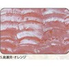 5.オレンジ アワビシート 【高瀬貝】 ノーブランド 77458337