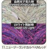 11.UVレッド アワビシート 【ニュージーランドカルぺ】 ノーブランド 77458355