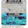13.UVグリーン アワビシート 【メキシコアワビ】 ノーブランド 77458380